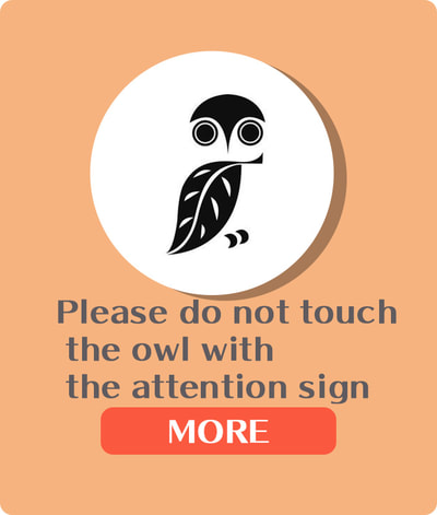 owlcafe's owls are please do not touch the owl with the attention sign