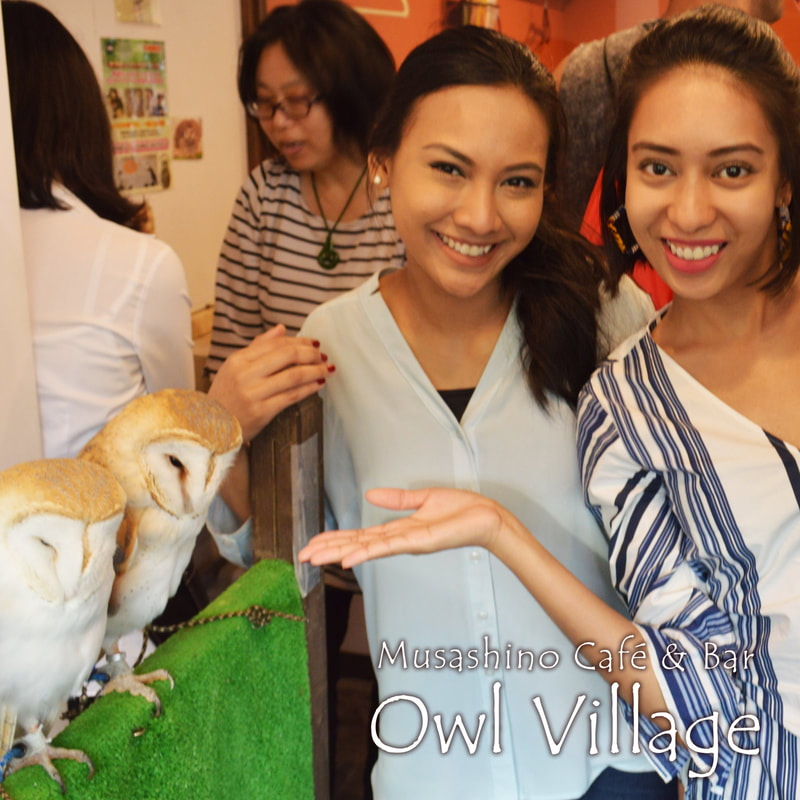 owlcafe in the owlroom