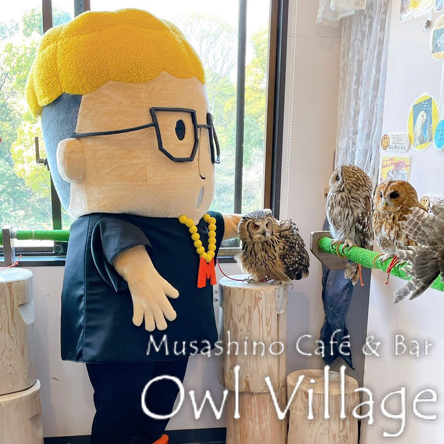 owl cafe harajuku down load free photo 0350 Tawny Owl&Mottled Owl & Tawny Owl × Ural Owl