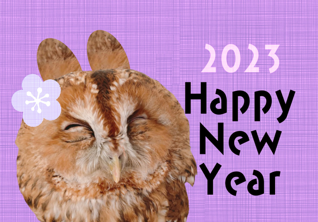 Tawny Owl - cute - New Year's card - New Year - New Year's greetings - Year of the Rabbit - Rabbit Owl