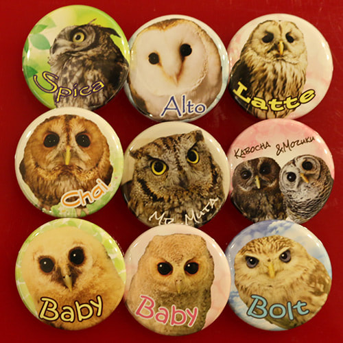 owl pins batch for sale at the owl cafe harajuku