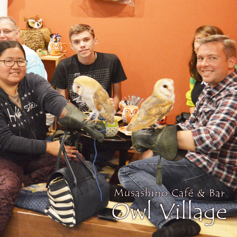 owlcafe in the gueistroom