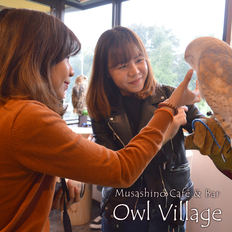 owl cafe harajuku options course-4