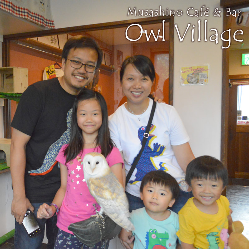 owlcafe family with barnowl in store