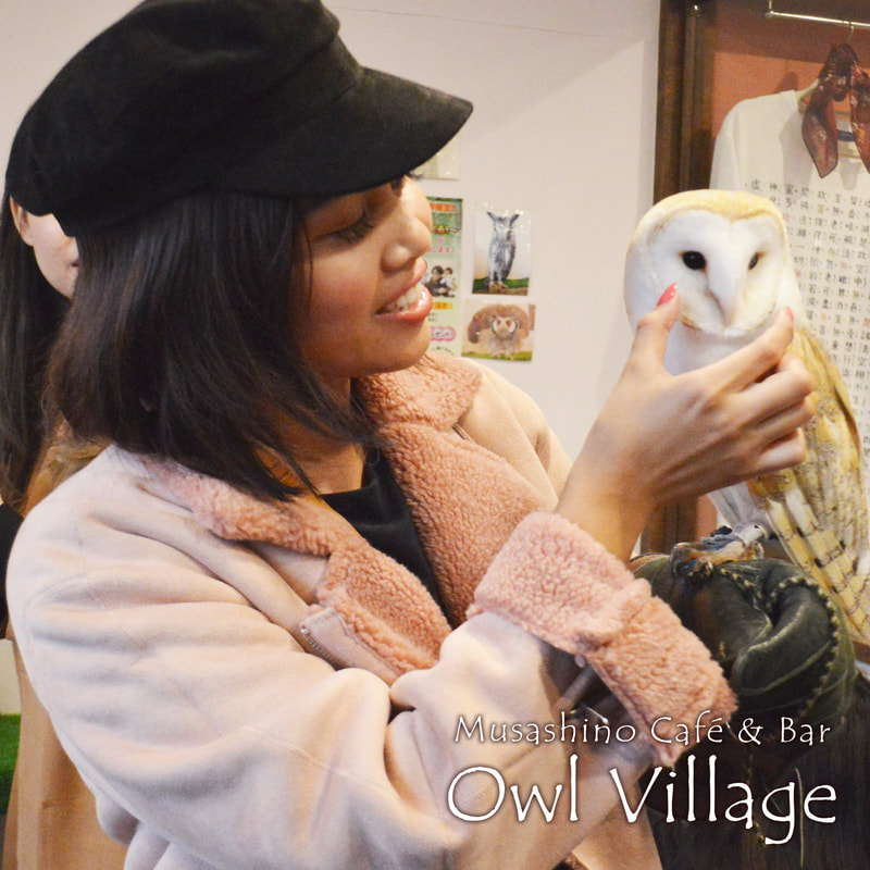 owl cafe harajuku touch standard couse3