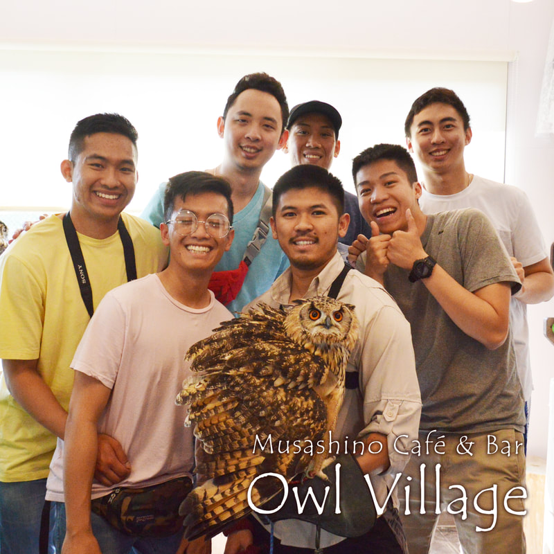 owl cafe harajuku in tokyo social distance-friends touch's Bengal Eagle Owl