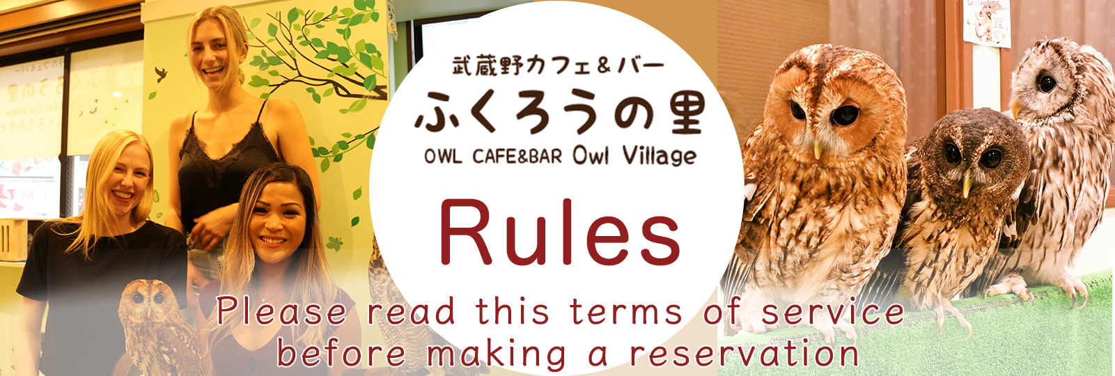 owl cafe harajuku about rules-1