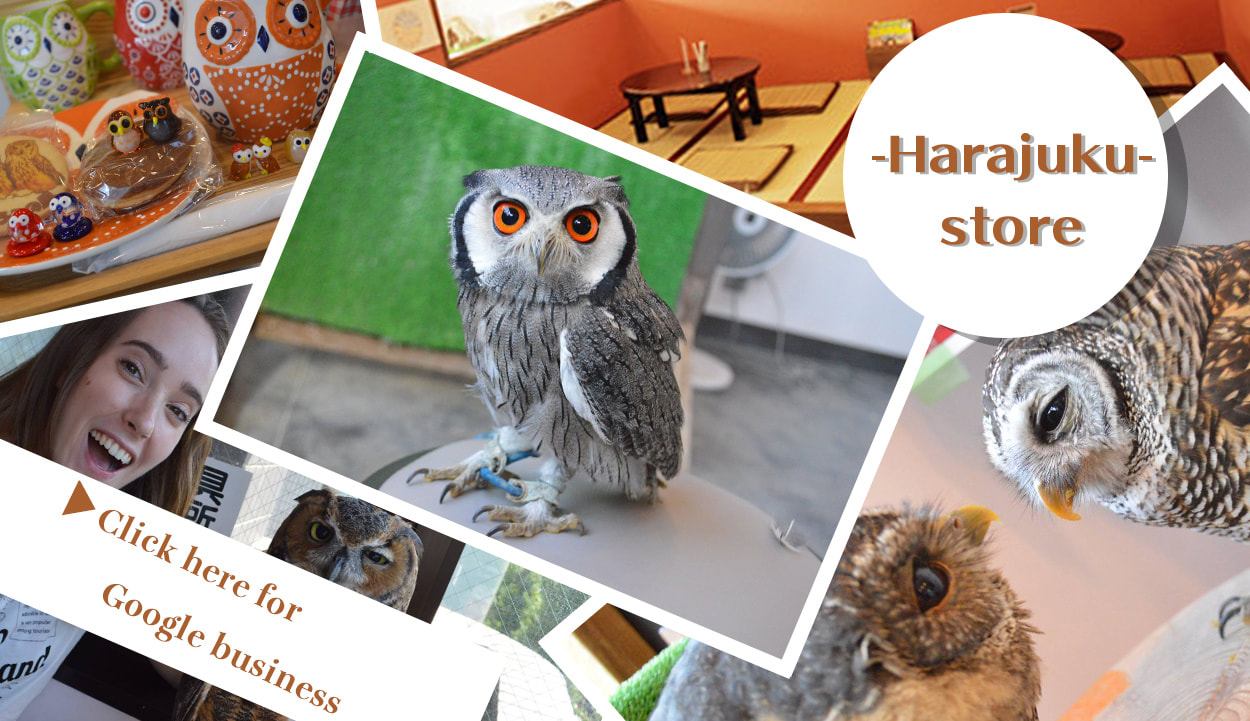 owl cafe harajuku link google business