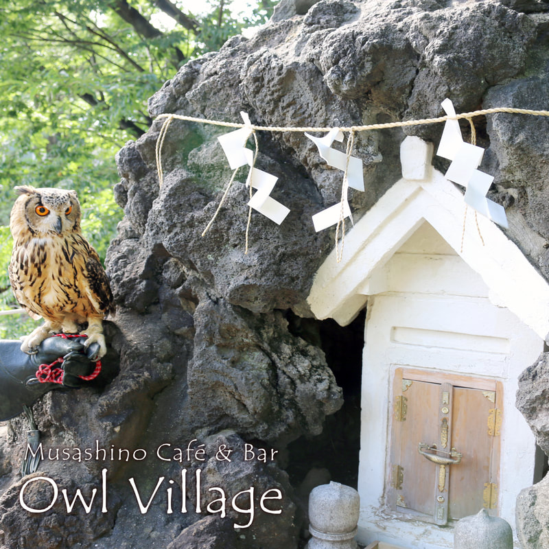 Bengal Eagle Owll at  sinjuku hatonomori sendagaya fuji shrine in harajuku owlcafe