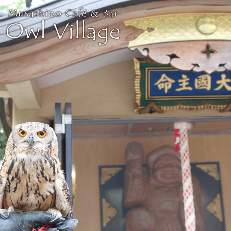 Japanese shrine owlcafe jiji harajuku