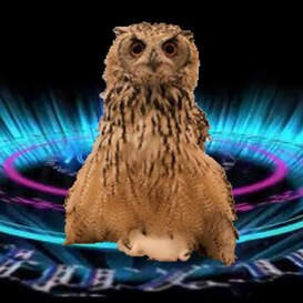 slug owl-001