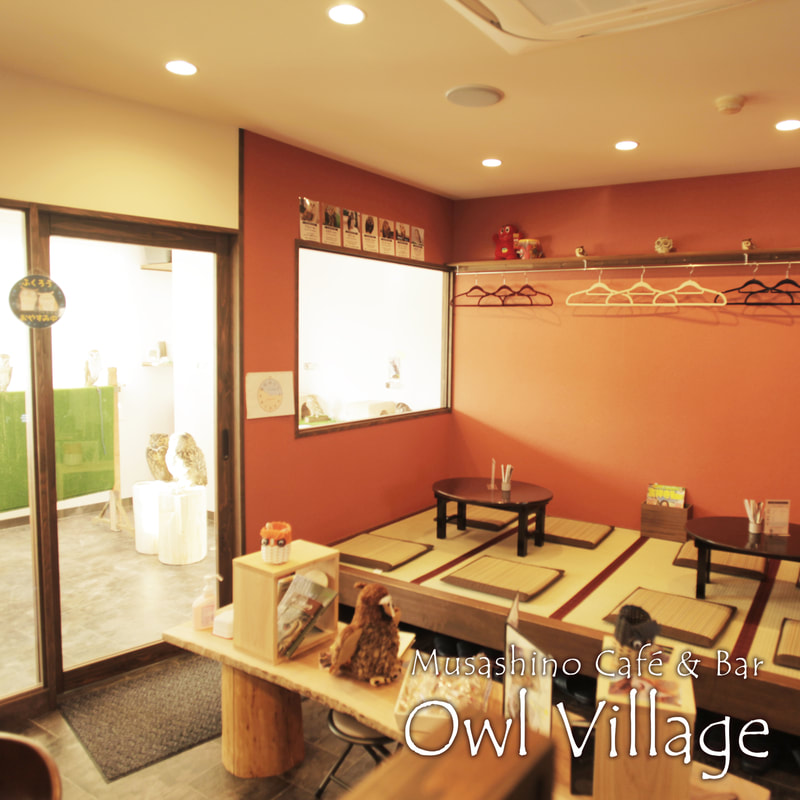 owlcafe harajuku　indoor photo