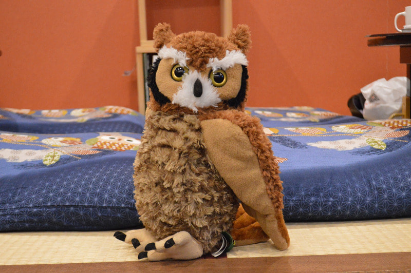 Great horned owl　harajuku shibuya kichijoji tokyo kawaii owlcae owlvillage