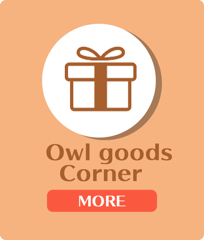 owls gift in owlcafe harajuku top