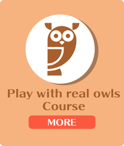 play with real owls course