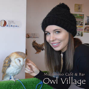 owl cafe harajuku touch standard couse1