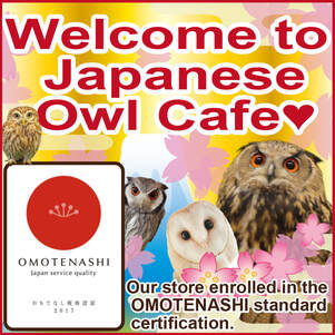welcom to japanese owl cafe top