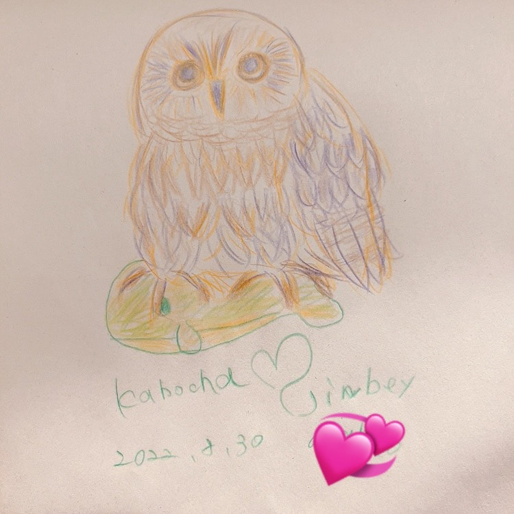 Mottledowl - illustration - model - owl cafe - Harajuku - cute - Shibuya - Tokyo - drawing - free book