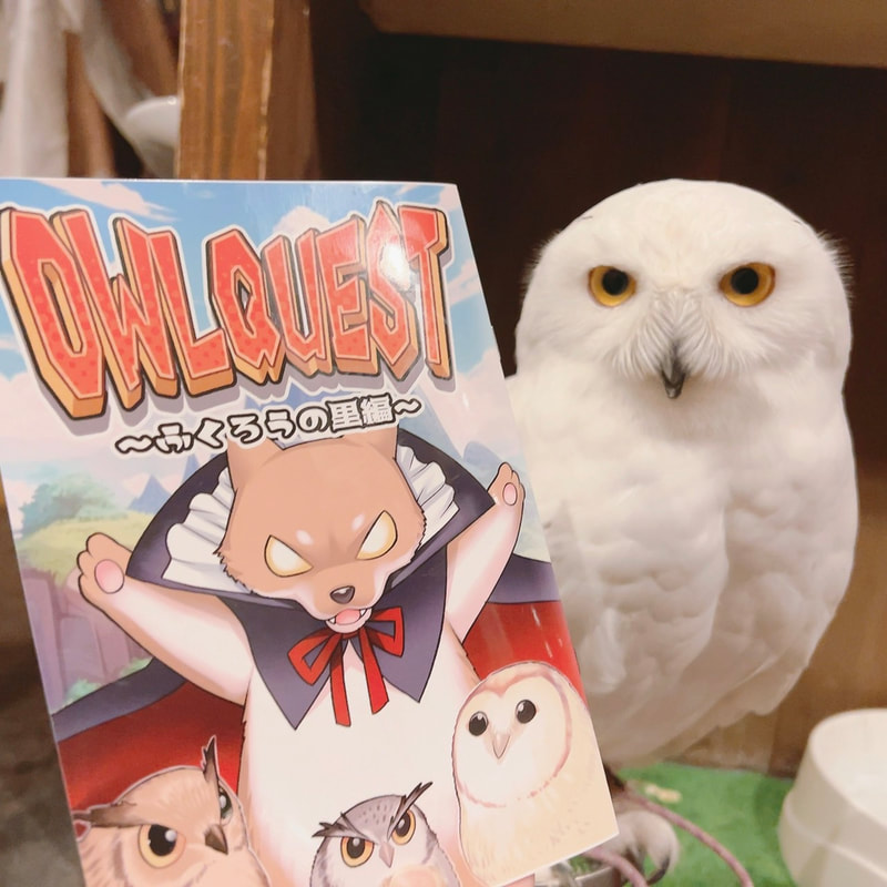 Owl Village - Snowy Owl - Cute - Manga - Comics - Free Distribution - Owl - Owl Cafe - Harajuku - Tokyo - Shibuya