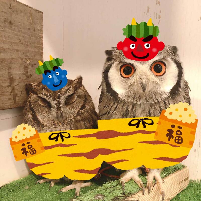 owl-owlvillage-harajuku-setubun