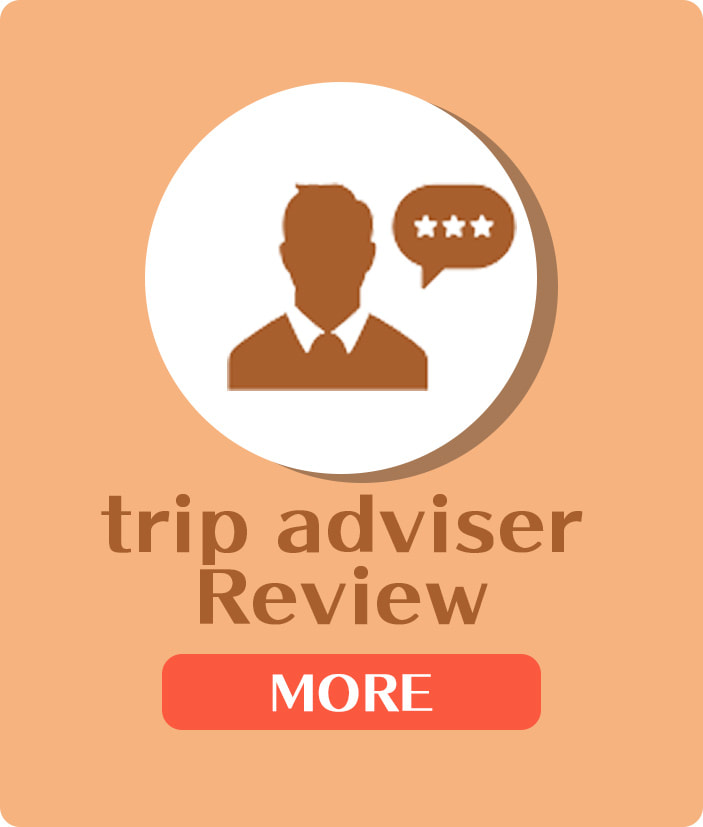 owlcafe harajuku trip adviser review link